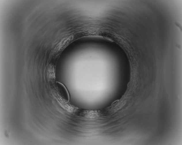 X0000101120384200806261442
