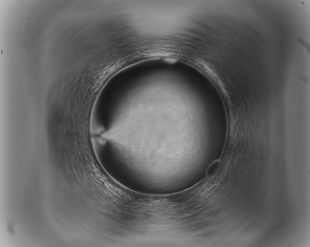 X0000101120385200806261441