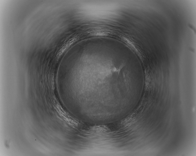 X0000101120386200806261441