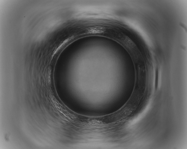 X0000101120387200806261441