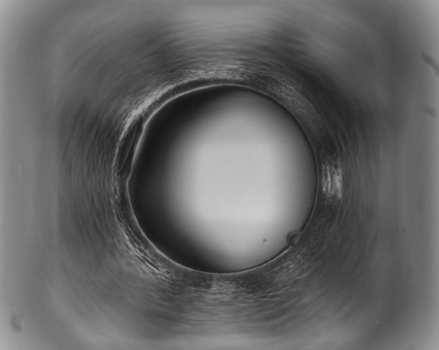 X0000101120388200806261441