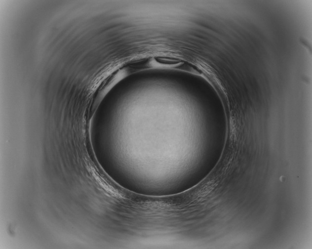 X0000101120389200806261441