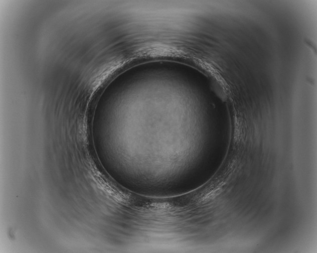 X0000101120391200806261441