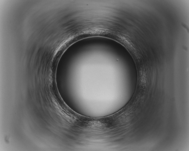 X0000101120392200806261441