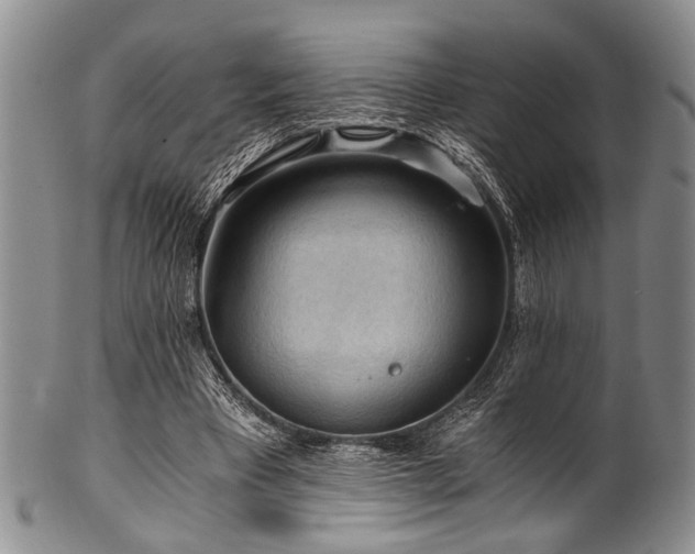X0000101120393200806261441