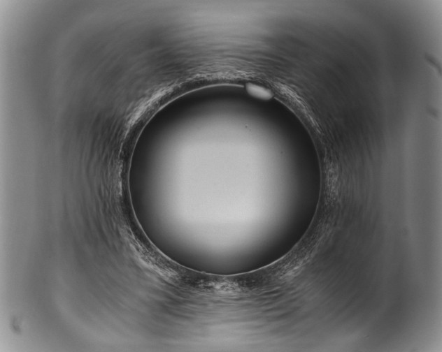 X0000101120395200806261441