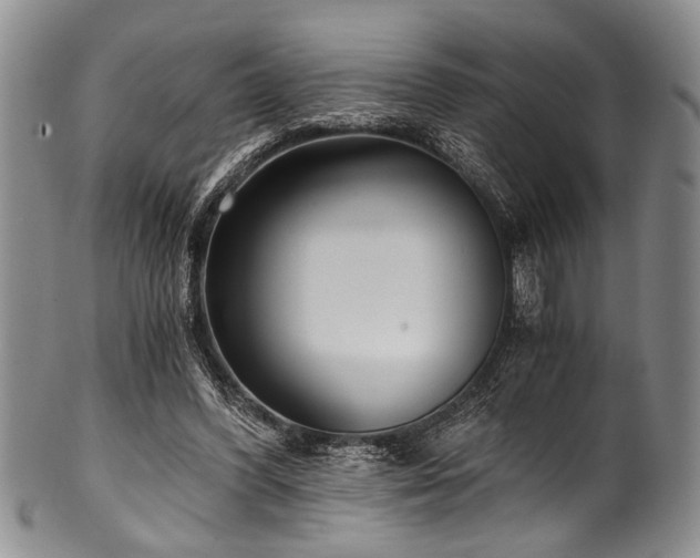 X0000101120396200806261441