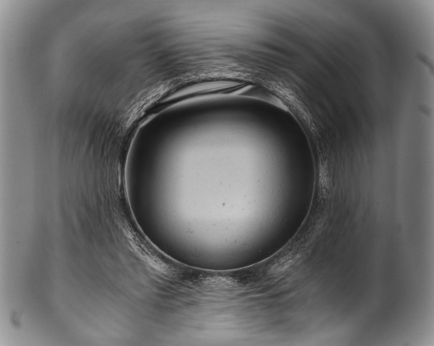 X0000101120397200806261441