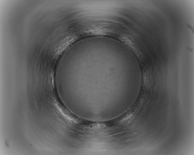 X0000101120398200806261441