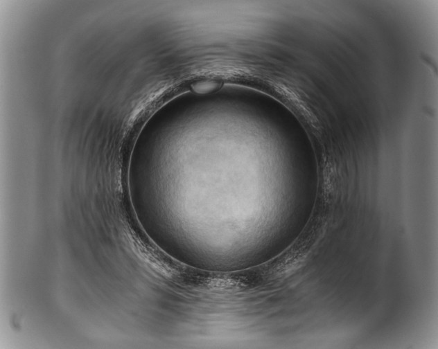 X0000101120399200806261441