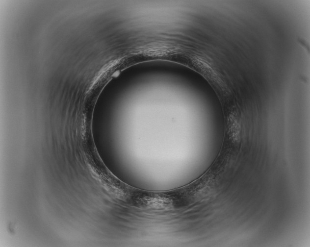 X0000101120400200806261441