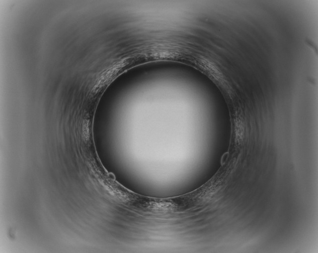 X0000101120401200806261441
