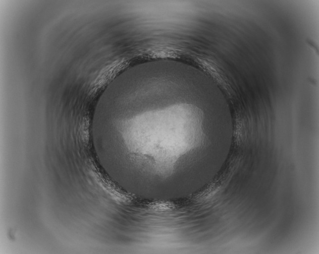 X0000101120402200806261441