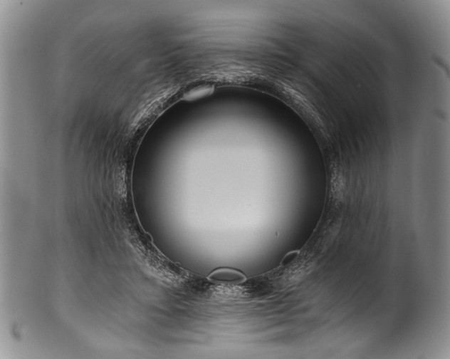 X0000101120403200806261441