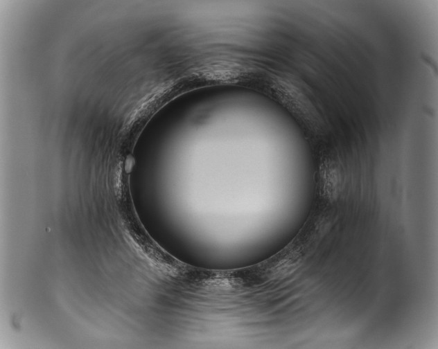 X0000101120404200806261441