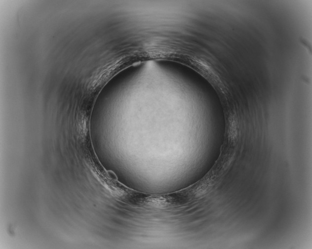 X0000101120405200806261441