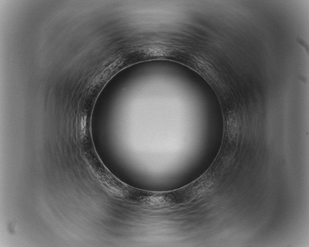 X0000101120406200806261441