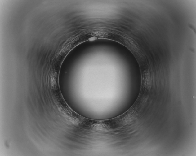 X0000101120408200806261441