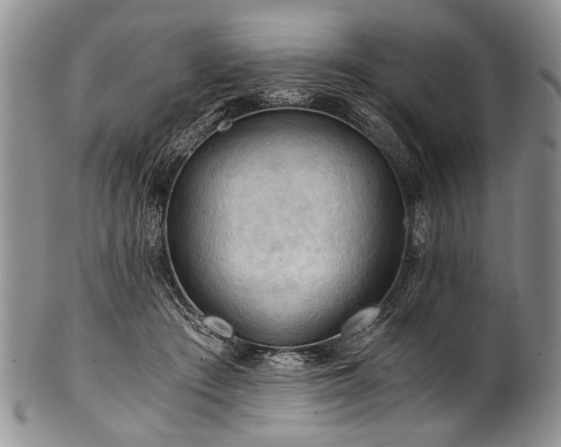 X0000101120409200806261441