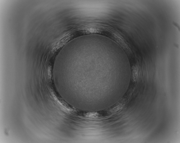 X0000101120410200806261441