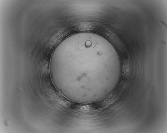 X0000101120411200806261441