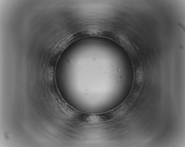 X0000101120413200806261441
