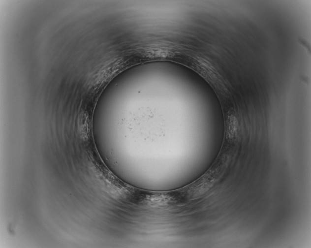 X0000101120414200806261441
