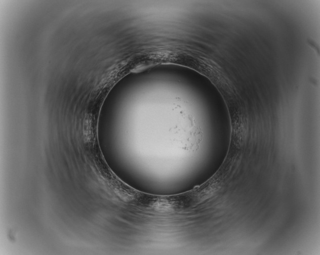 X0000101120416200806261441