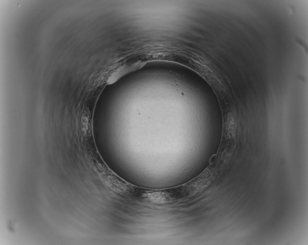 X0000101120417200806261441