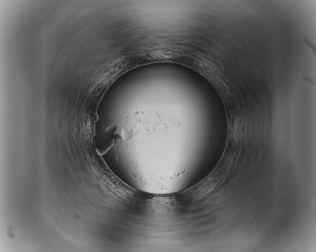X0000101120418200806261441
