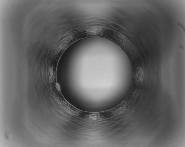 X0000101120420200806261441