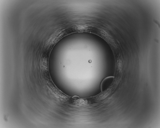 X0000101120421200806261441