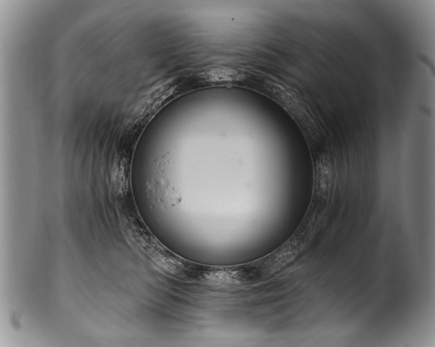X0000101120422200806261441
