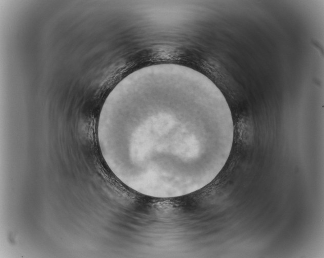 X0000101120423200806261441
