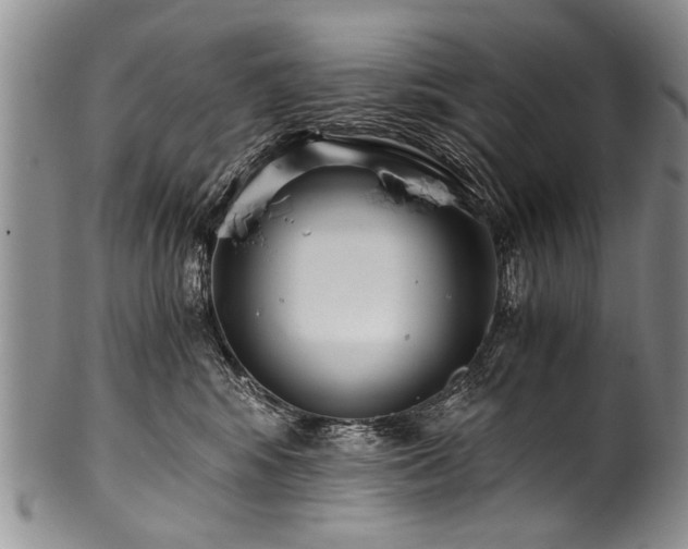 X0000101120424200806261441