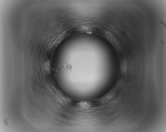 X0000101120425200806261441
