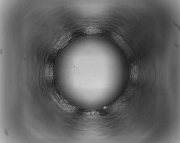 X0000101120426200806261441