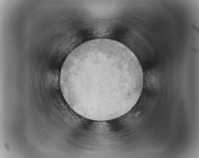 X0000101120427200806261441