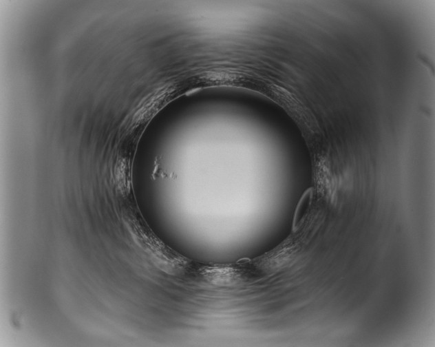 X0000101120428200806261441
