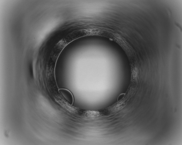 X0000101120429200806261441