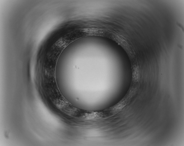 X0000101120430200806261441