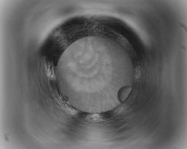 X0000101120431200806261441