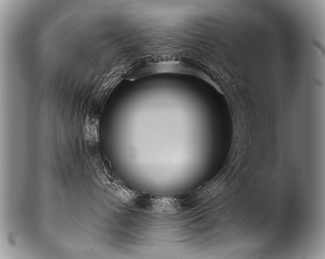 X0000101120432200806261441