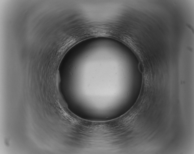 X0000101120433200806261440