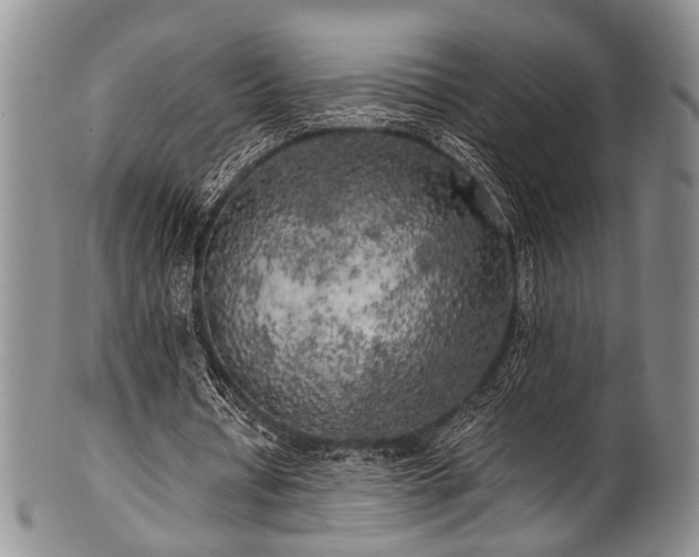 X0000101120434200806261440