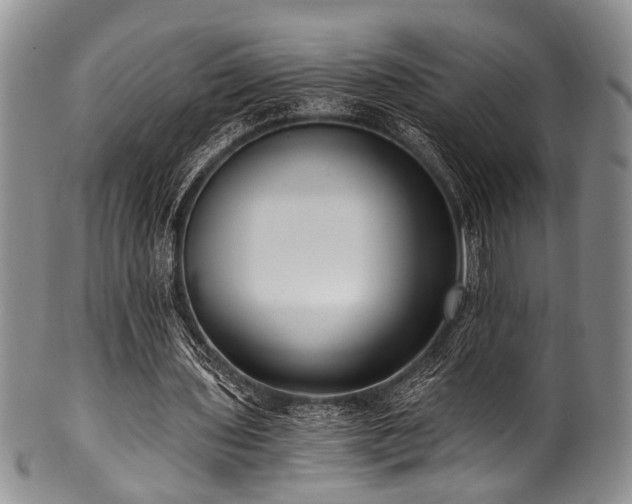 X0000101120435200806261440