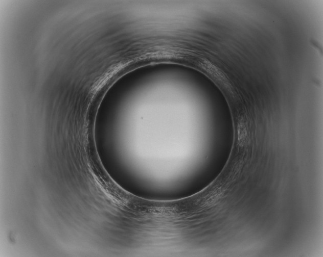 X0000101120436200806261440