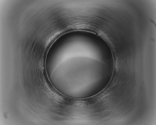 X0000101120438200806261440