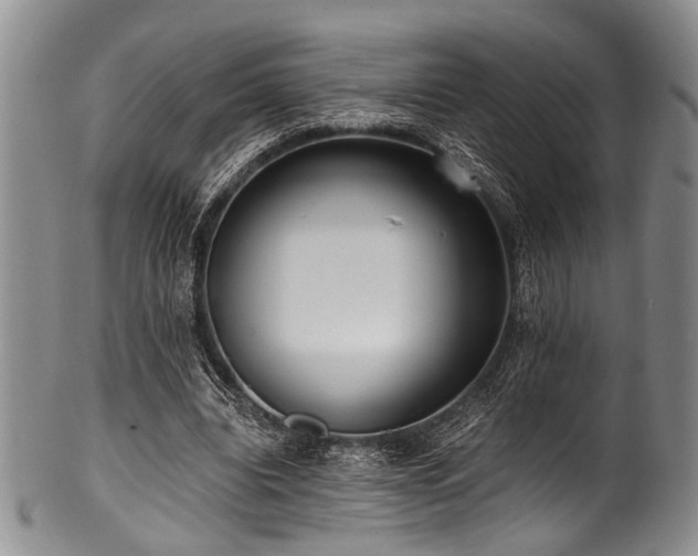 X0000101120440200806261440