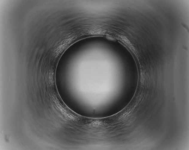 X0000101120441200806261440